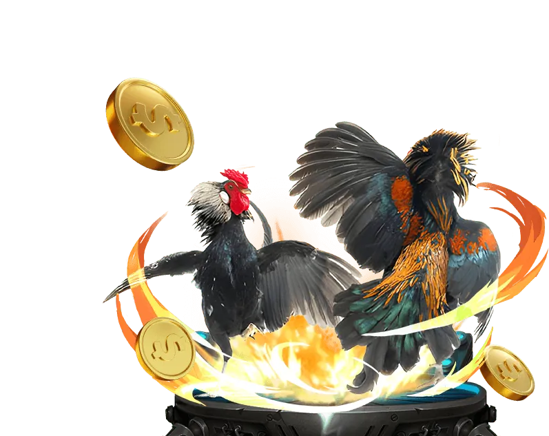 Các loại hình cá cược tại vn88 vin